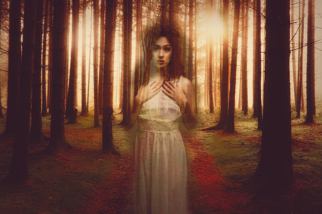 Blackpink最新專輯,音樂力量與時尚魅力的完美結合