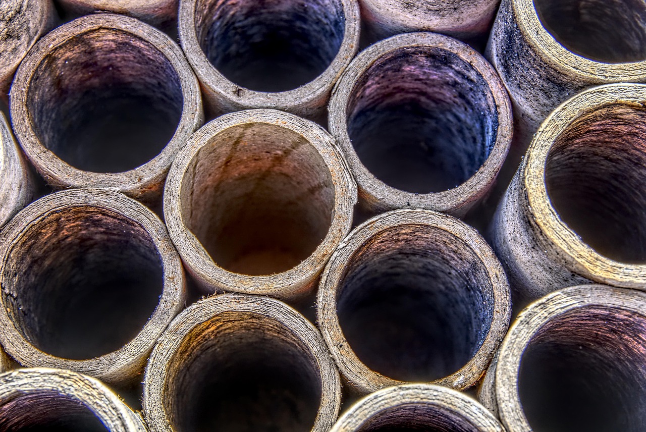 蘇綸場最新動態，創新發展的前沿陣地進展報告