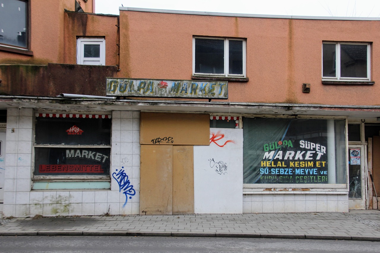 小乖崽最新動態，成長與變化的見證之路