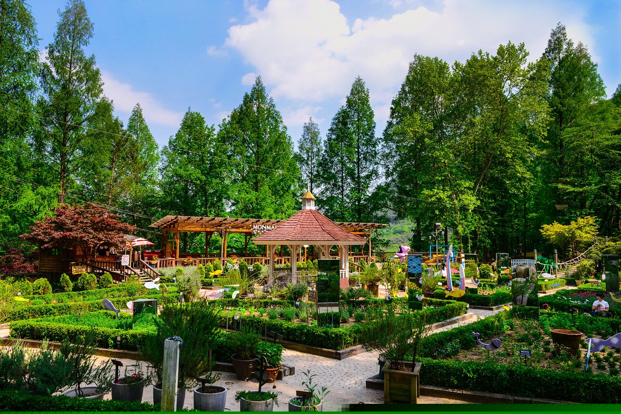 韓國大邱最新發展動態概覽