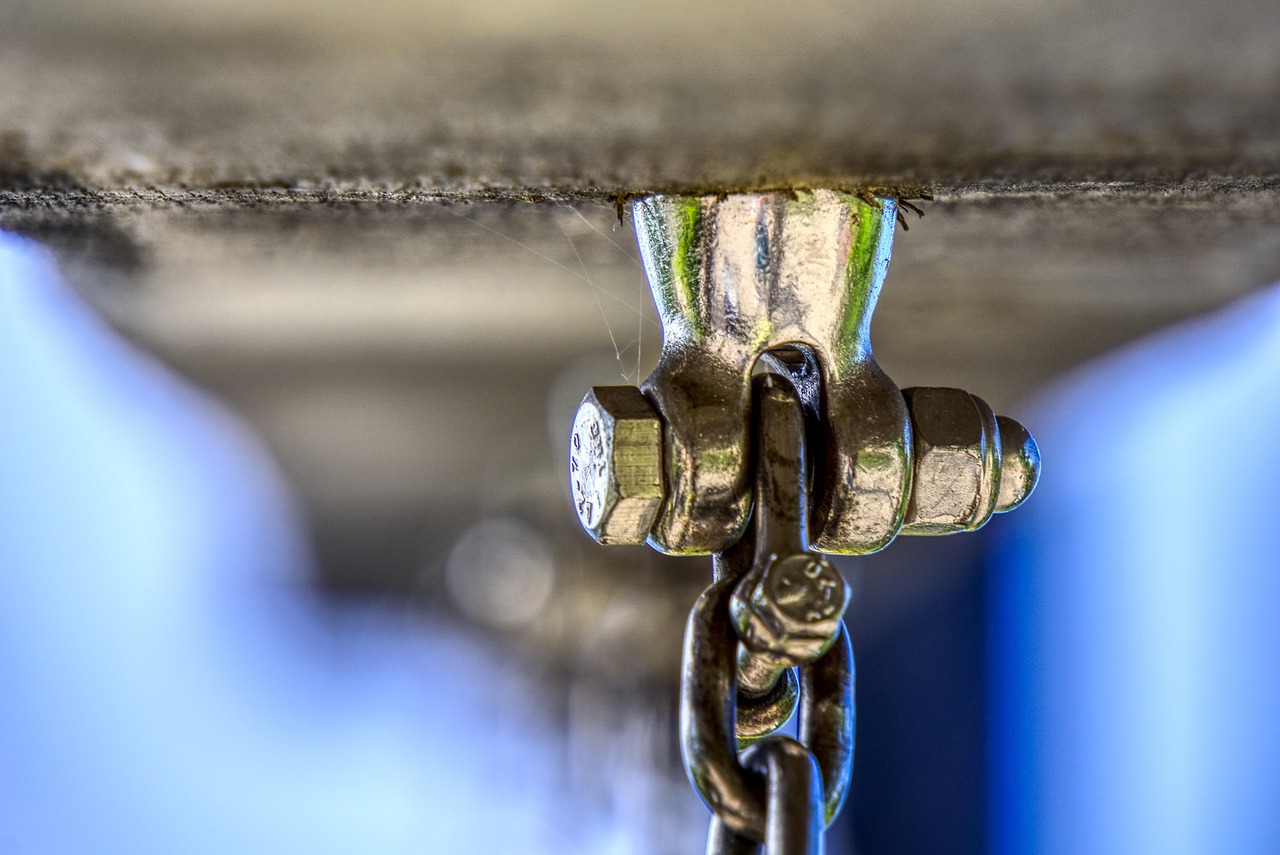 中國與世界的交匯點,最新發展動態探析及中外對比研究