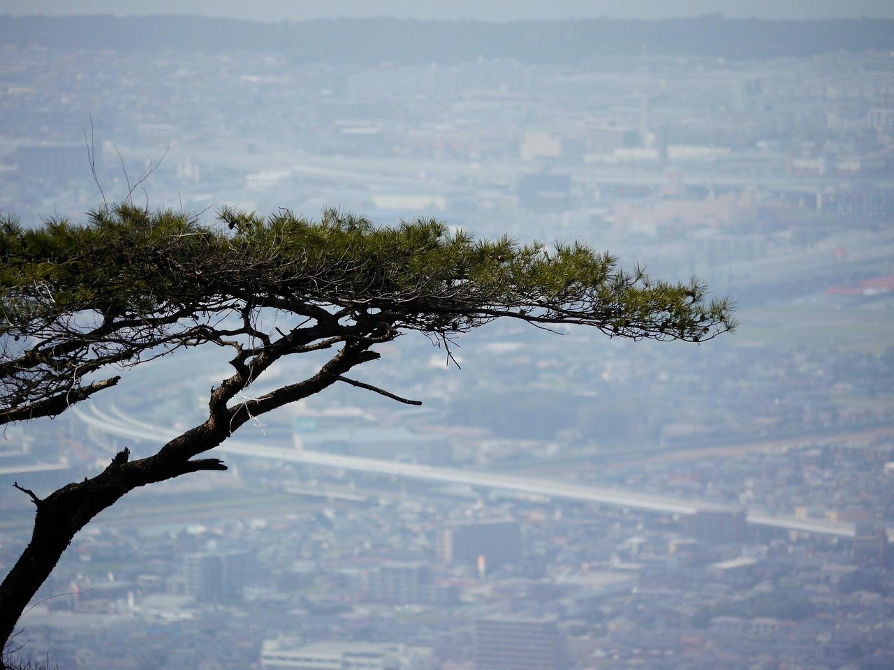 謝昀杉演藝之路的新篇章，最新動態與未來發展