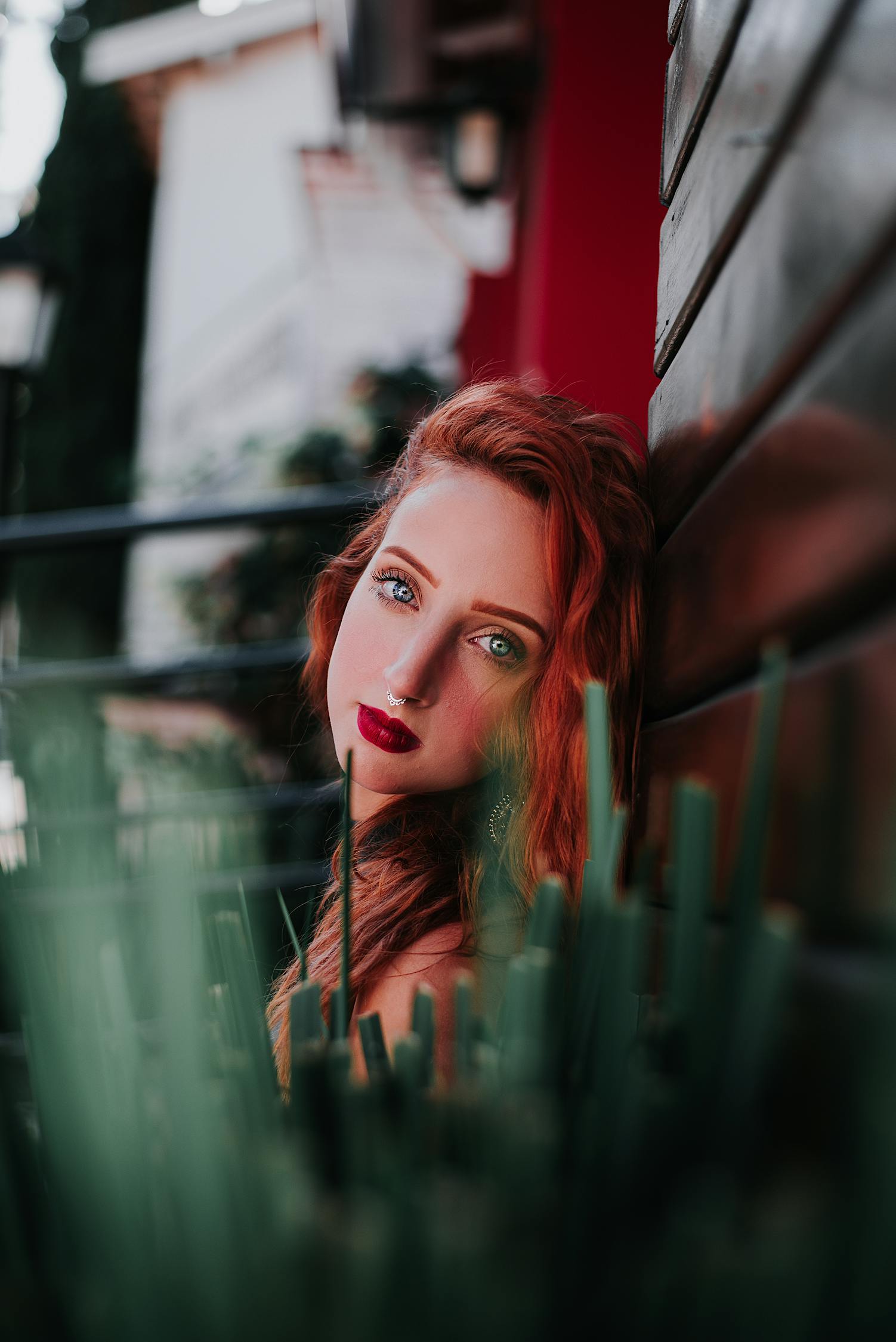 最新追劇天堂,影視世界的魅力探索