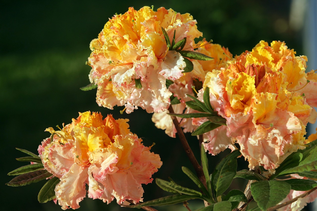 凌晨三點的吻 第15頁