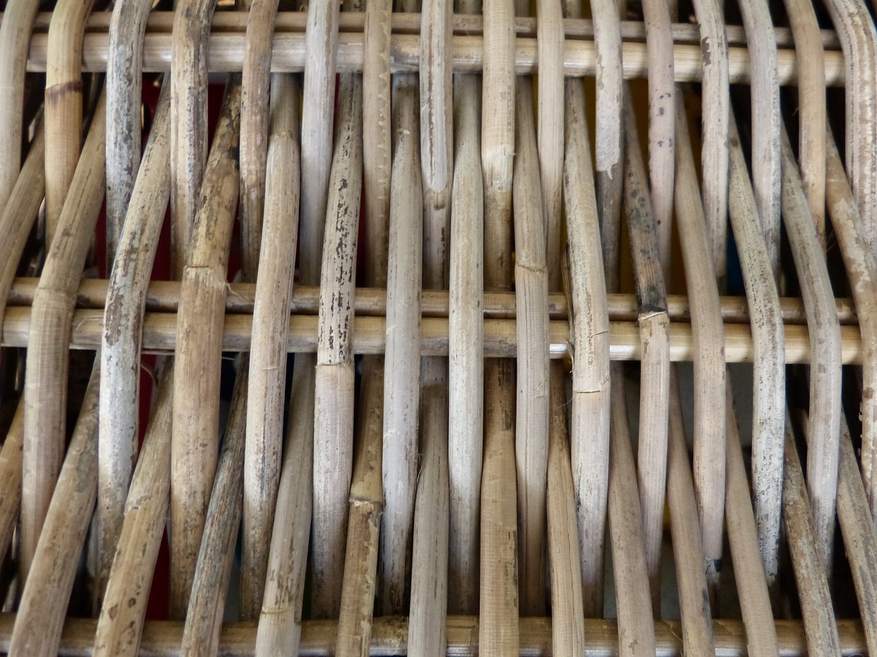 最新發酵豬糞技術及其應用探討