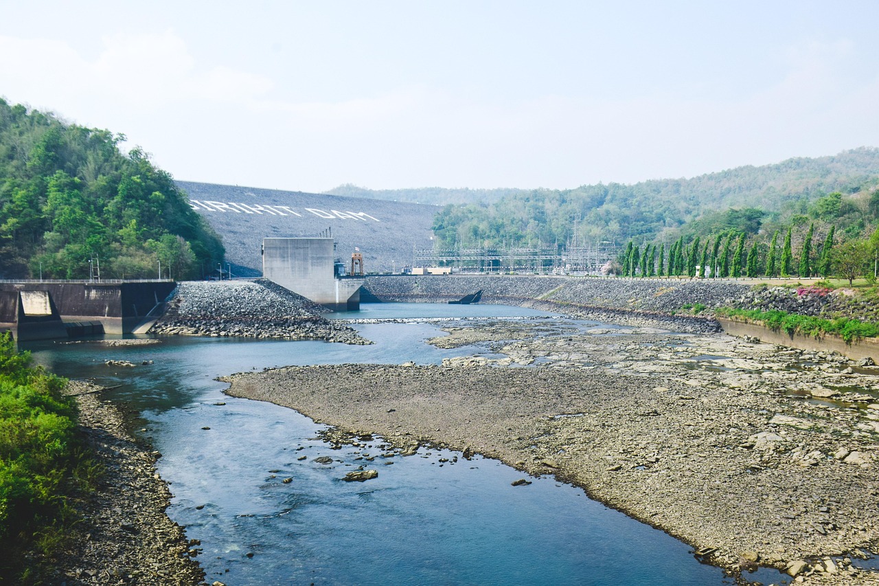 孤的王朝 第15頁