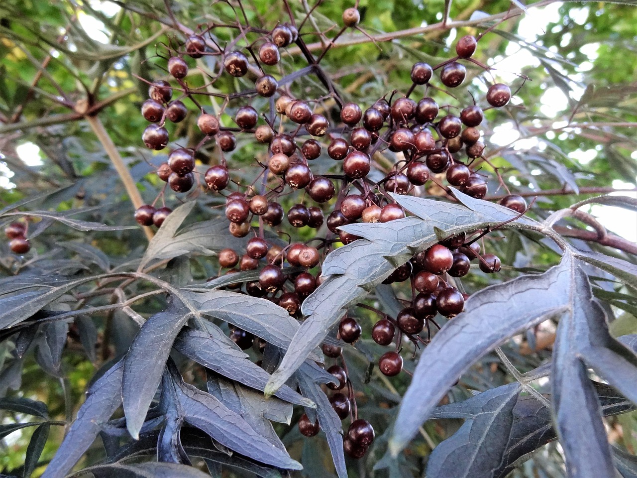 韓國瑜最新選情分析，最新動態(tài)與解讀