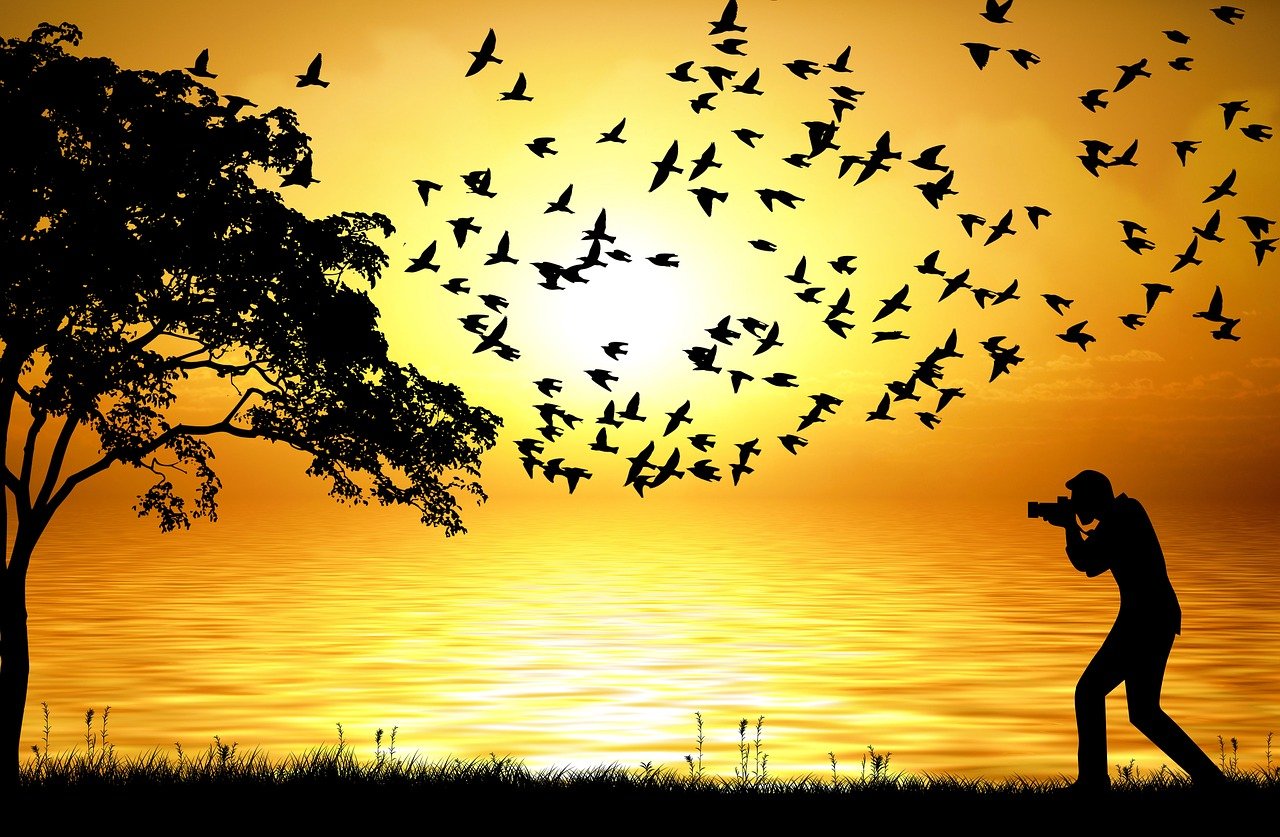 最新經典夜讀，探索知識的樂趣，享受寧靜之夜的美好時光