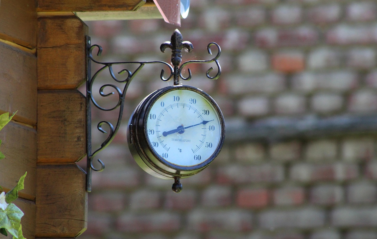 澳網賽場動態速遞，最新新聞與熱門話題熱議