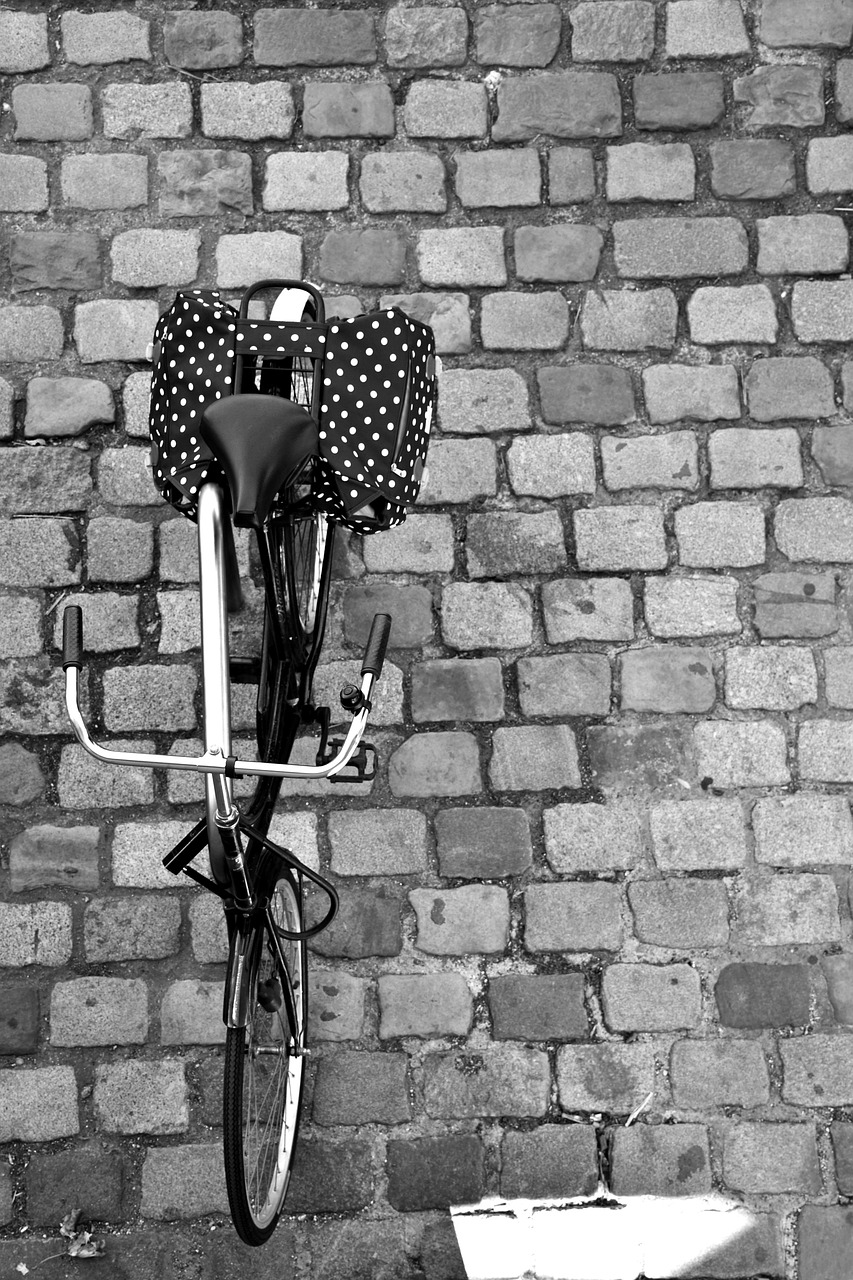 南昌最新交通狀況概覽，城市交通發(fā)展動態(tài)與更新情況分析