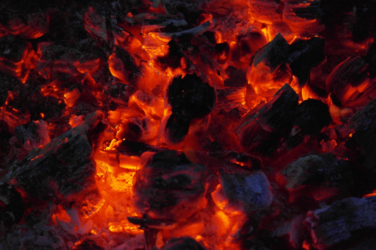 澳洲煤炭禁令最新動(dòng)態(tài),全球能源市場(chǎng)影響分析