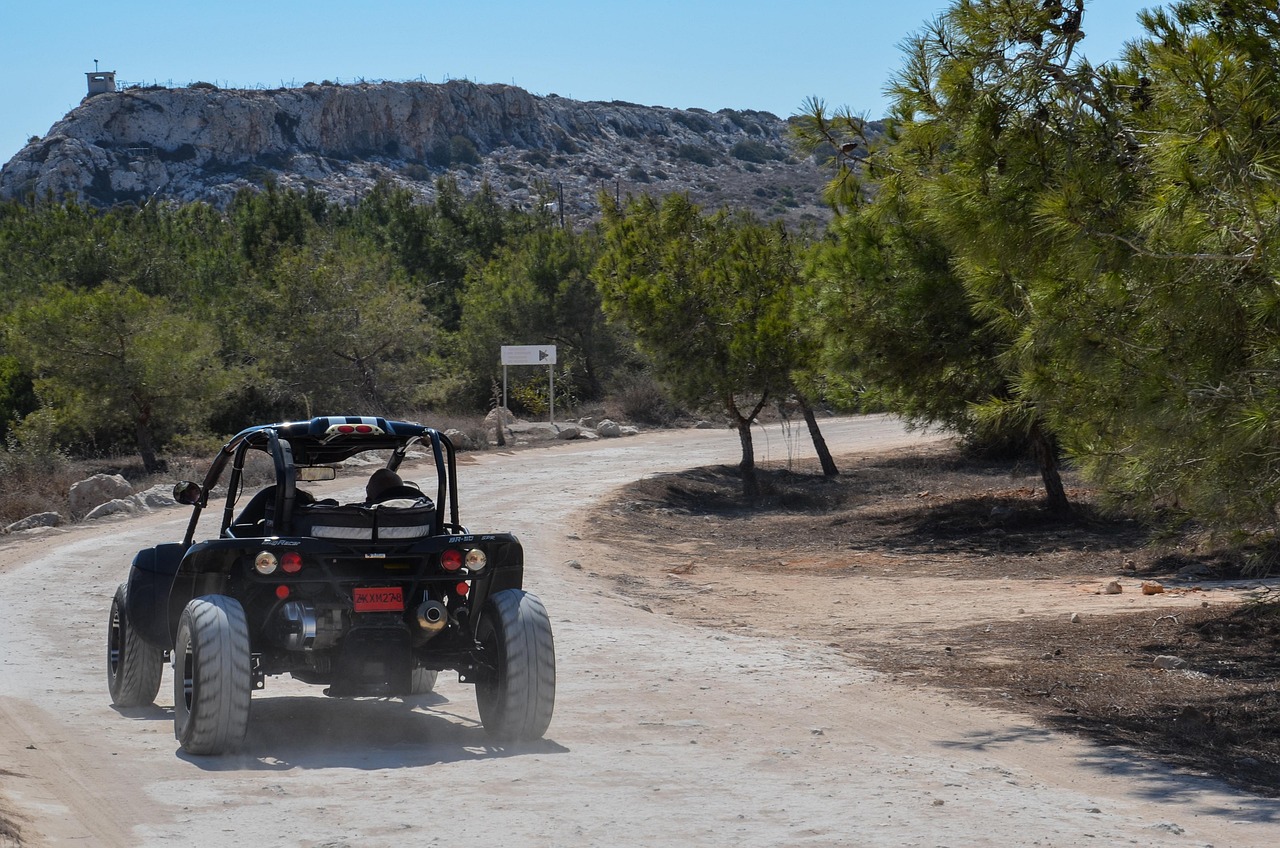新疆老虎最新動(dòng)態(tài),生態(tài)恢復(fù)與保護(hù)成果顯著
