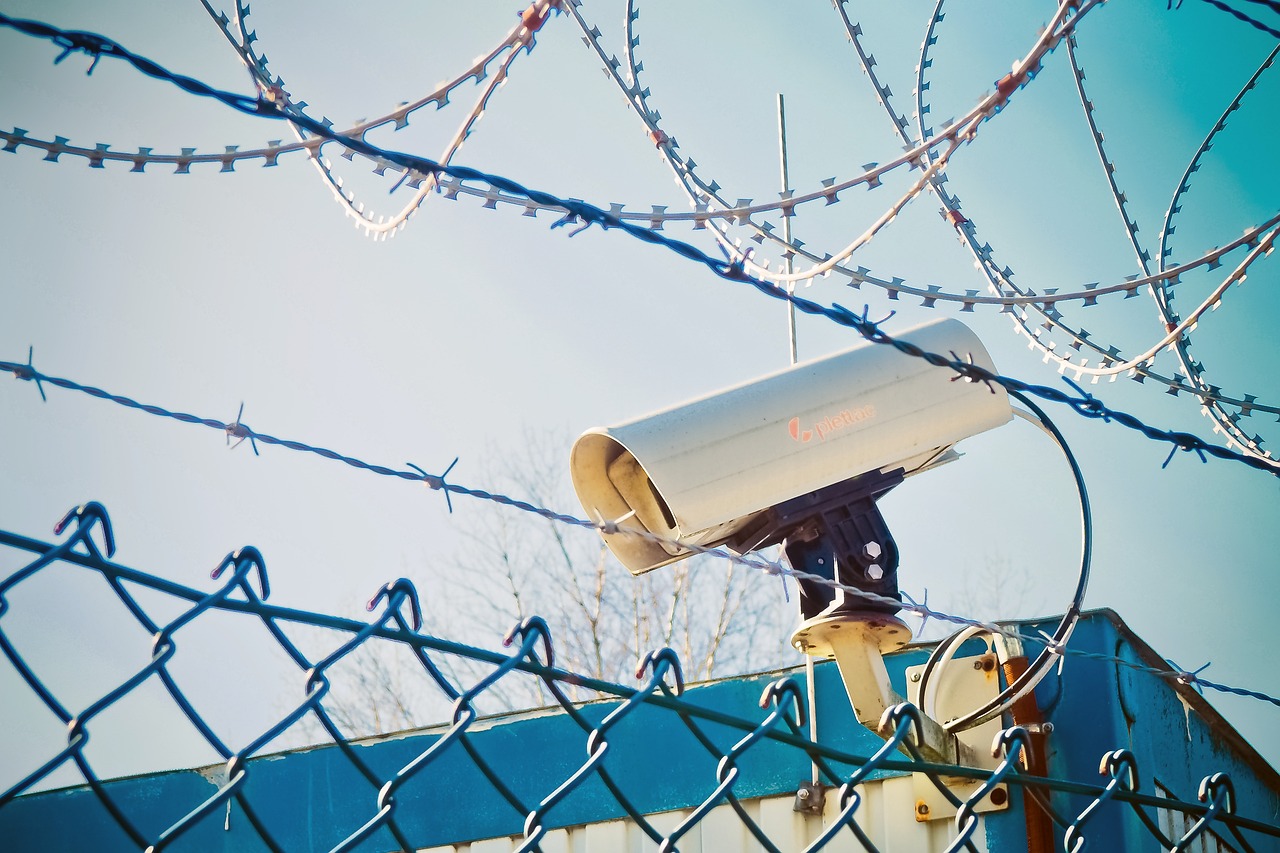 何總最新視頻深度解析與獨特視角觀察