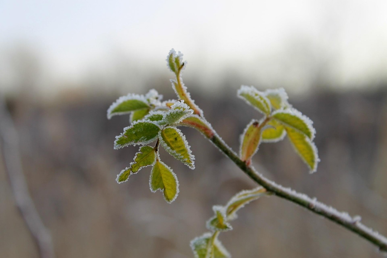 維也納最新事件，城市新動態與文化沖擊揭秘
