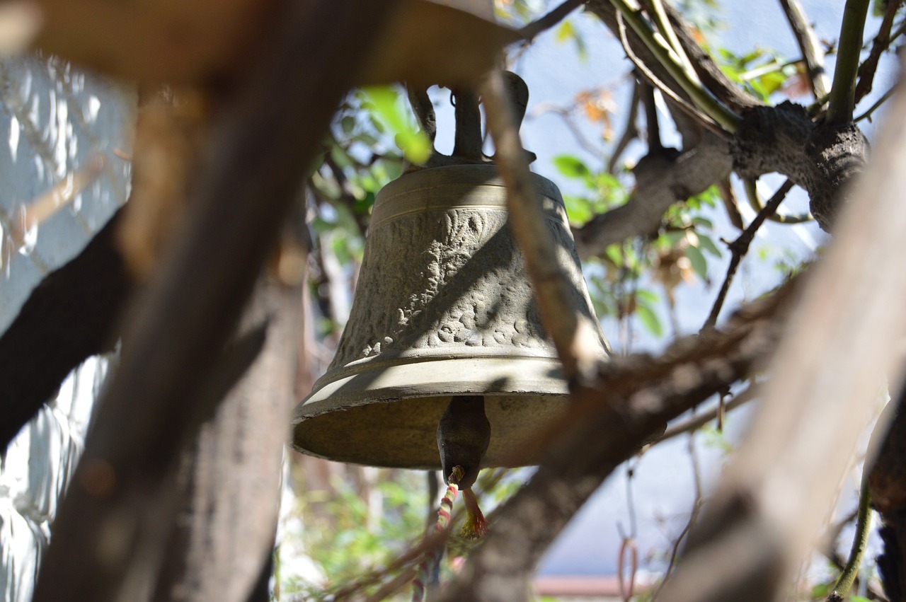 郵幣卡最新復牌動態及市場展望