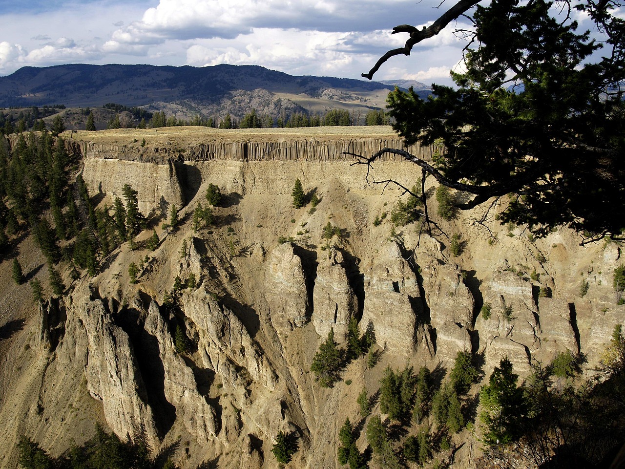 大足最新公園，自然與文化交融的勝地