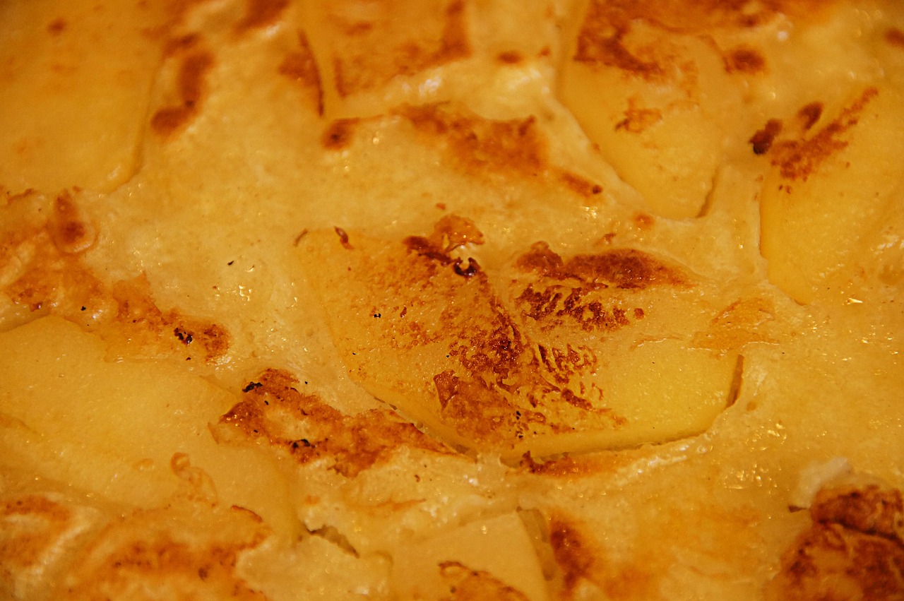 中源協和最新發展動態及前景展望