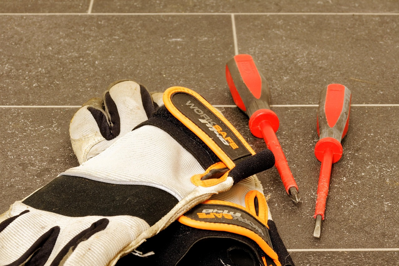 最新禽報網深度解析，行業動態、禽類健康與未來趨勢展望展望