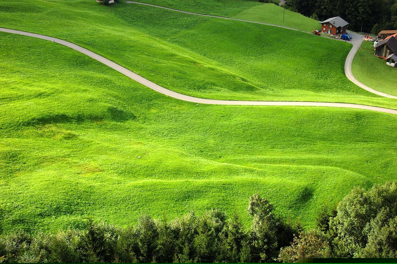 自然之力與生態(tài)之美,草留最新地的魅力與保護