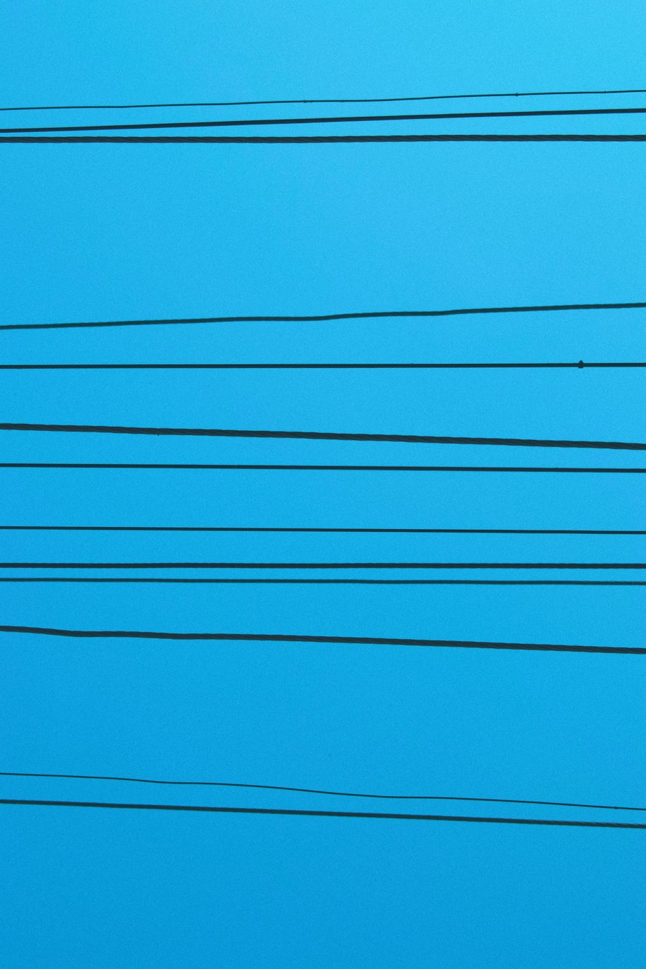 信女兄妹最新動(dòng)態(tài)揭秘，探索未知，勇往直前