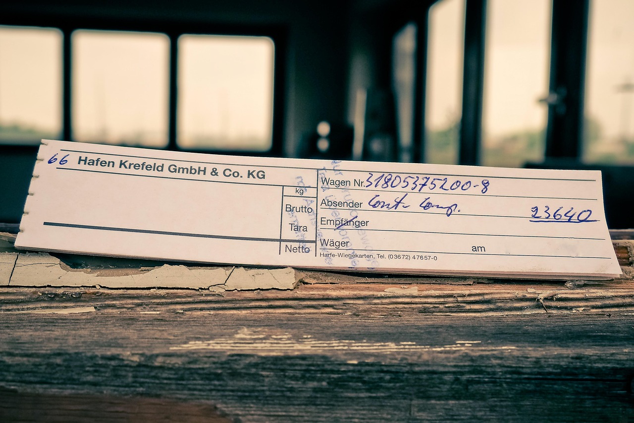 最新白婦傳，探索之路與啟示之光