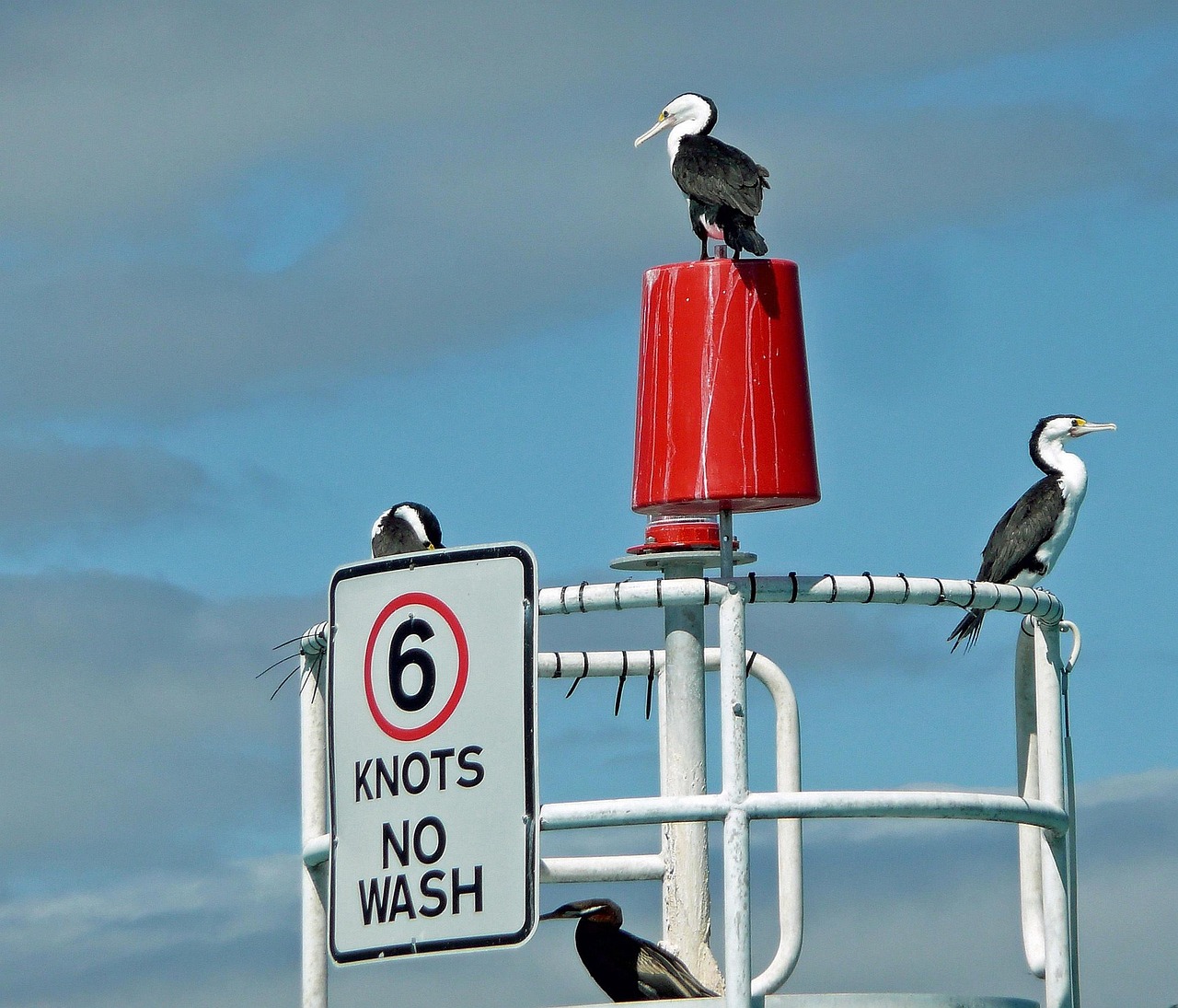 最新NUC技術革新展望，未來展望與前沿技術探索
