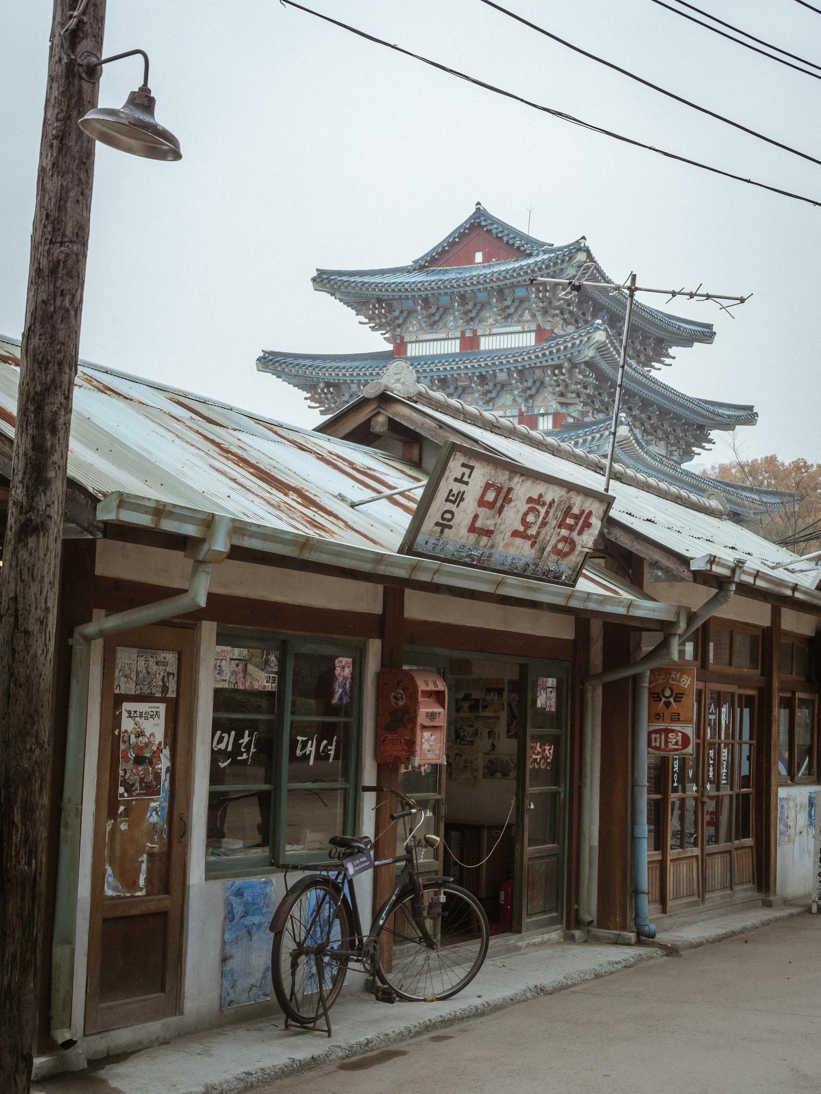 廣州典蒲，歷史、文化與發(fā)展的交融盛宴