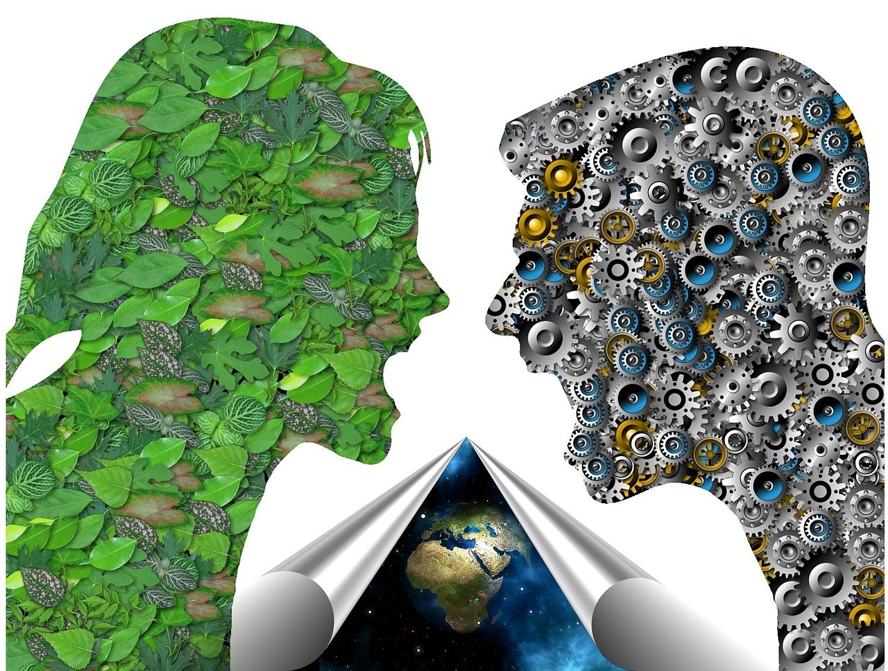 象棋安卓最新，策略與智慧的較量時刻