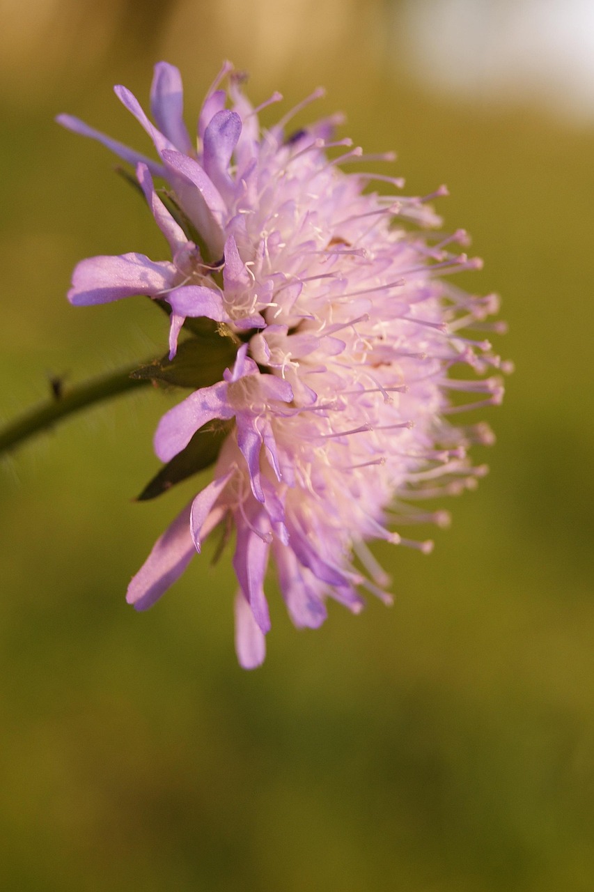 河池最新航班動態及相關信息全面解析