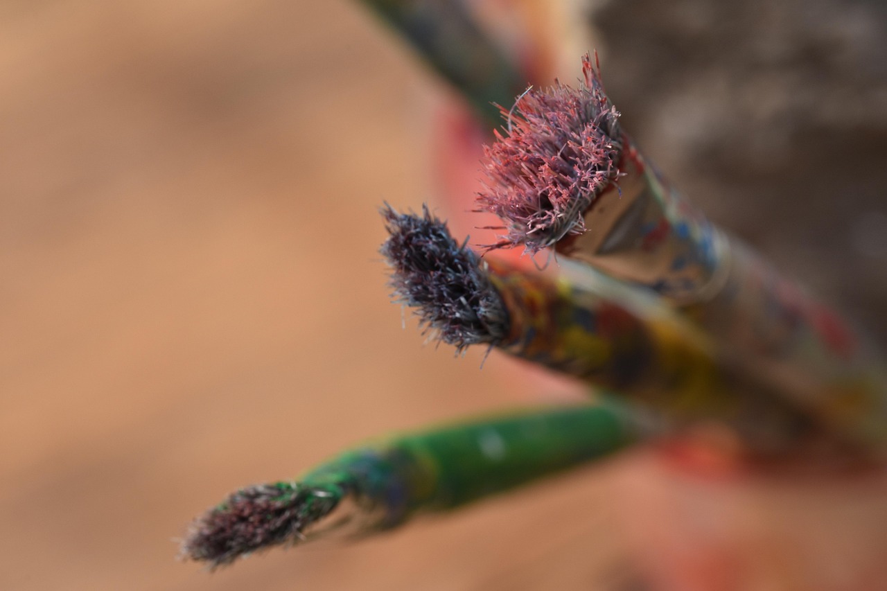 紅黃藍最新動態,引領色彩潮流,創新未來教育新聞速遞