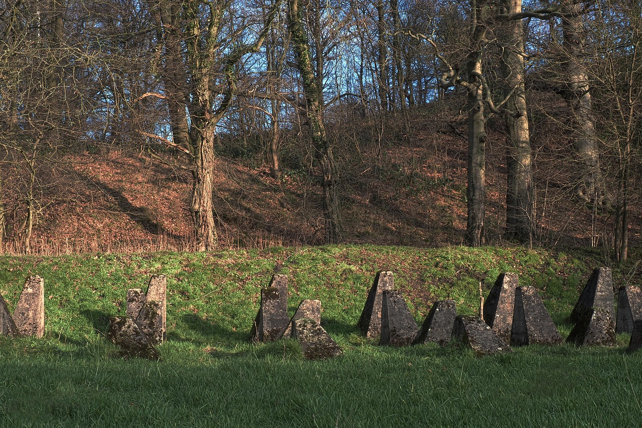 泉州消殺最新動態，全面防控，守護家園的安全防線