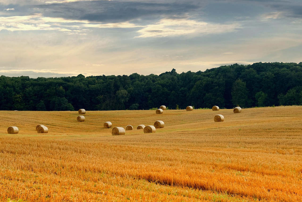 全面禁捕最新規定，保護水域生態，促進可持續發展