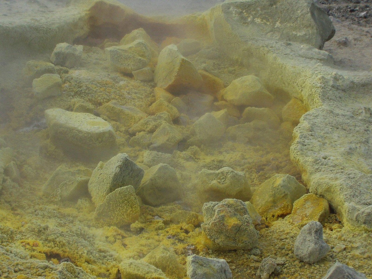 安徽最新擬任動態,新一輪人才布局引領地方發展