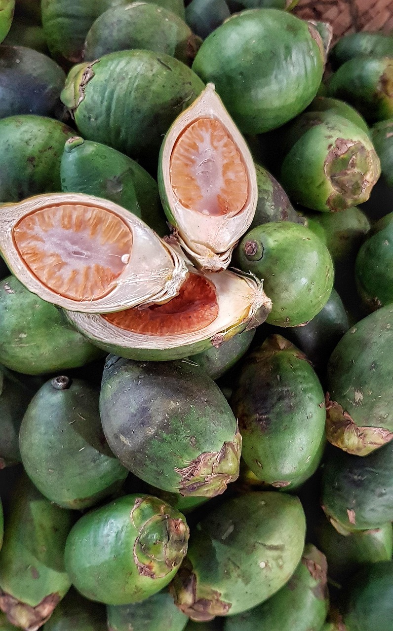 檳榔最新款,引領(lǐng)潮流的健康享受之選