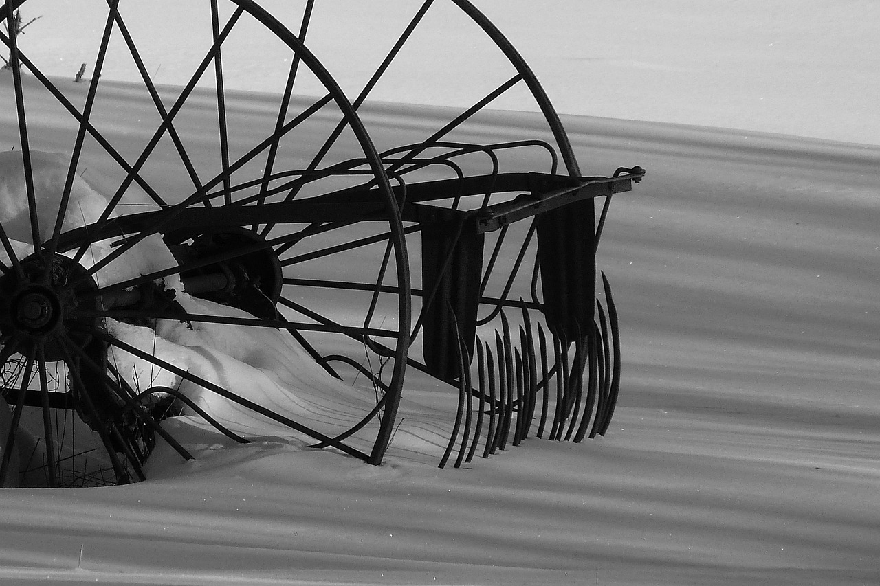 探影最新資訊,電影產業前沿動態與前瞻