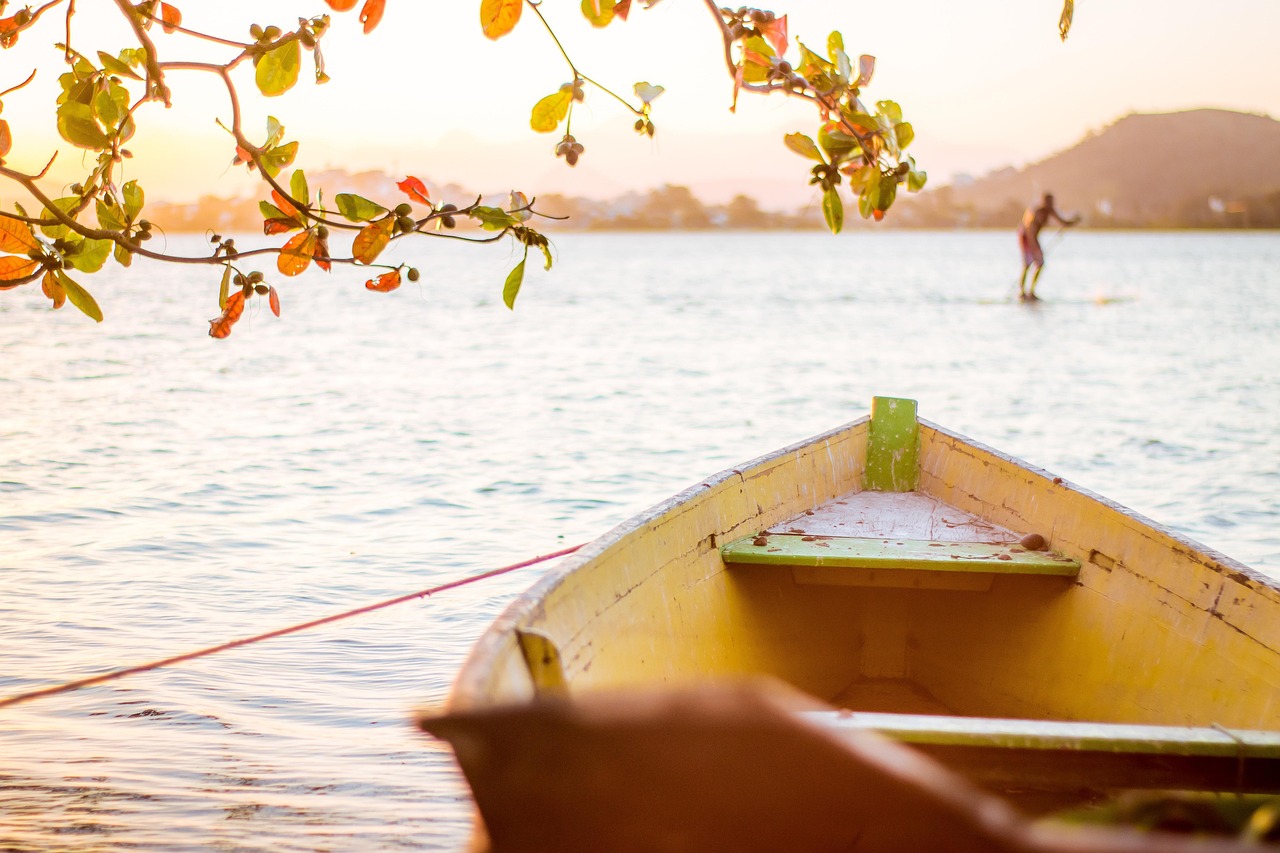 探影最新資訊,電影產業前沿動態與前瞻