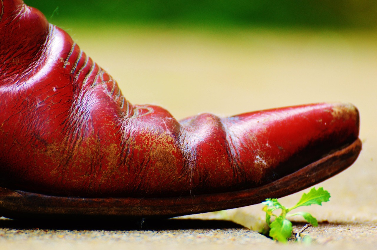 中國戰機最新動態,新時代藍天守護神持續升級