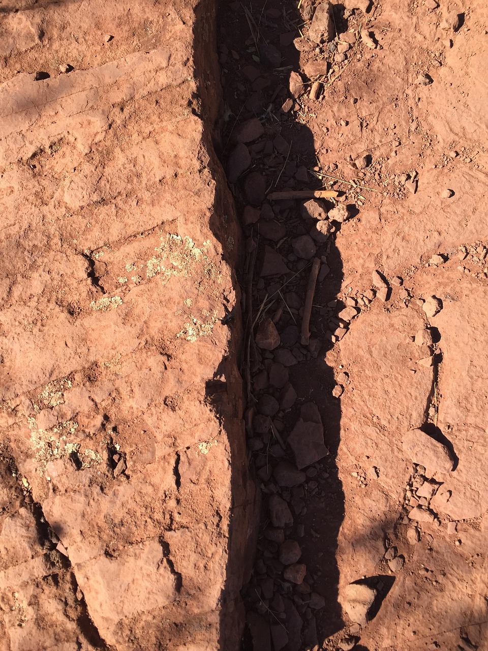 探索神秘仙俠世界的新篇章，活色生仙最新動態速遞