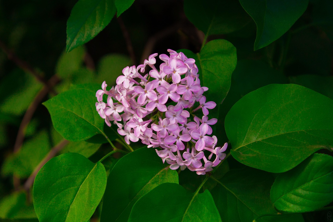 美錦集團最新動態,創新引領,邁向高質量發展新紀元