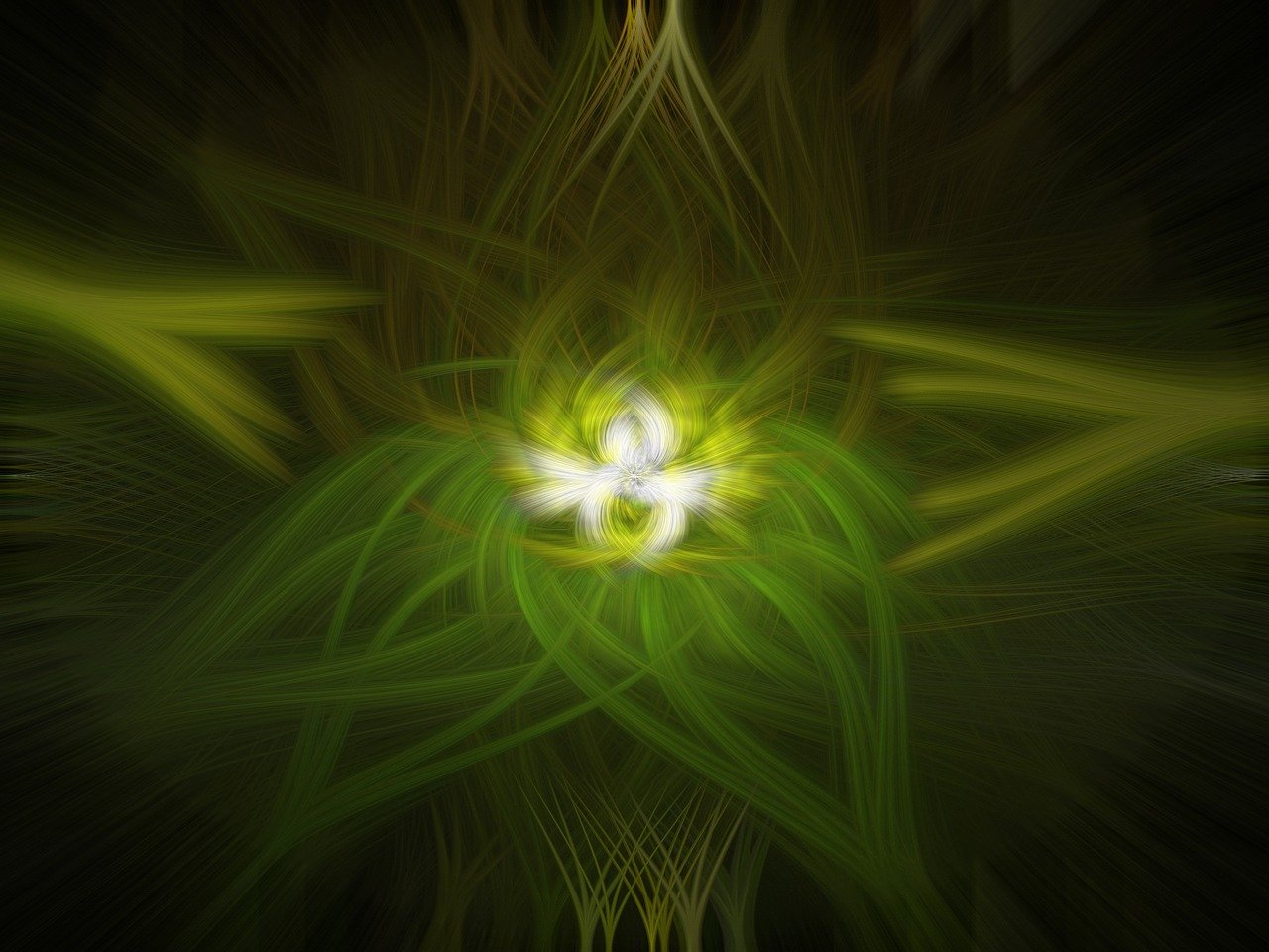 倪彤最新動(dòng)態(tài)，揭開新篇章，展望無限未來