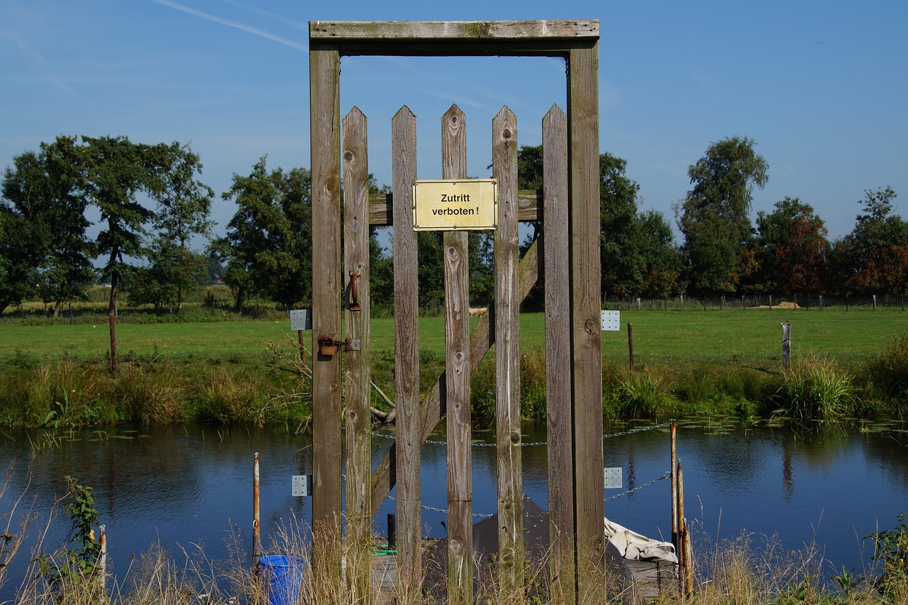 康橋最新事件，探索與啟示