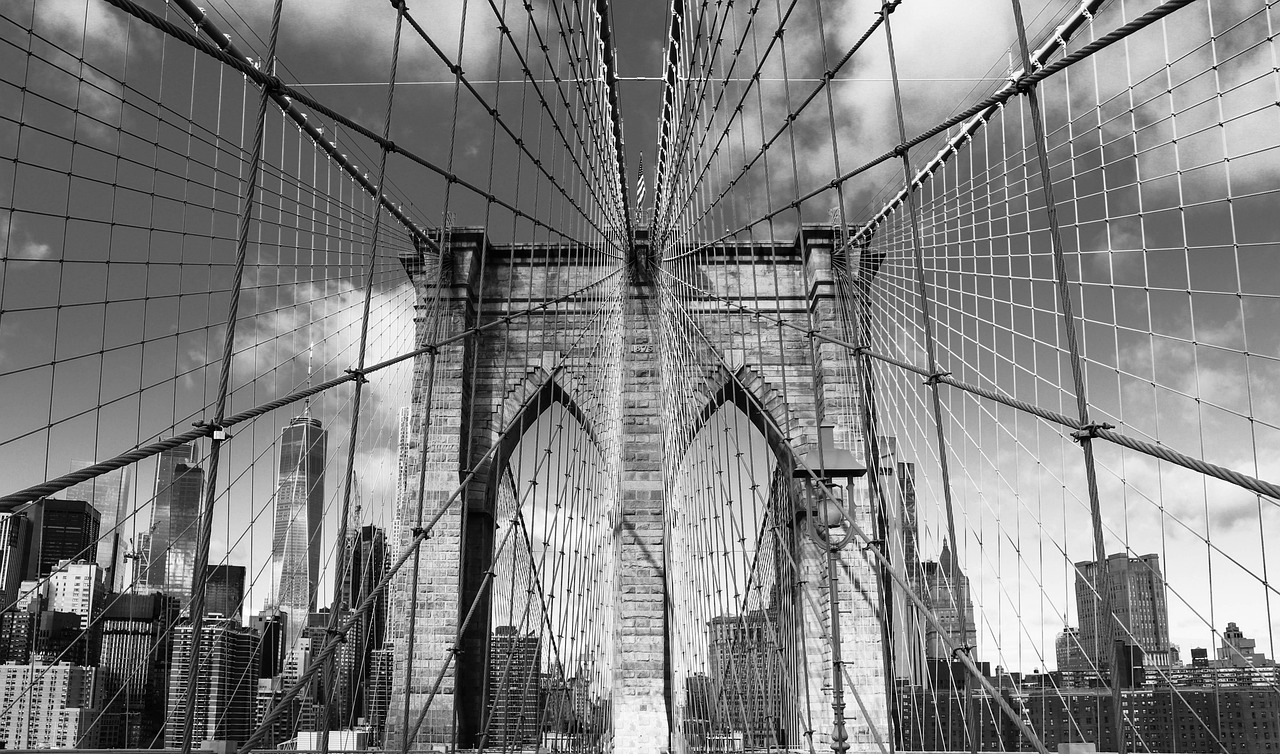 美國最新投票統計揭示民眾心聲與未來走向