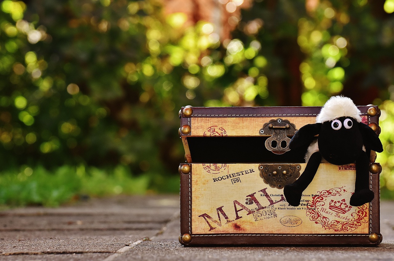 夜雨葉生 第11頁