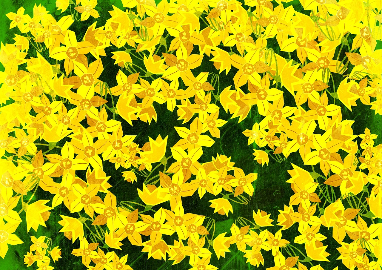 最新花卉攝影,展現自然之美的藝術風采