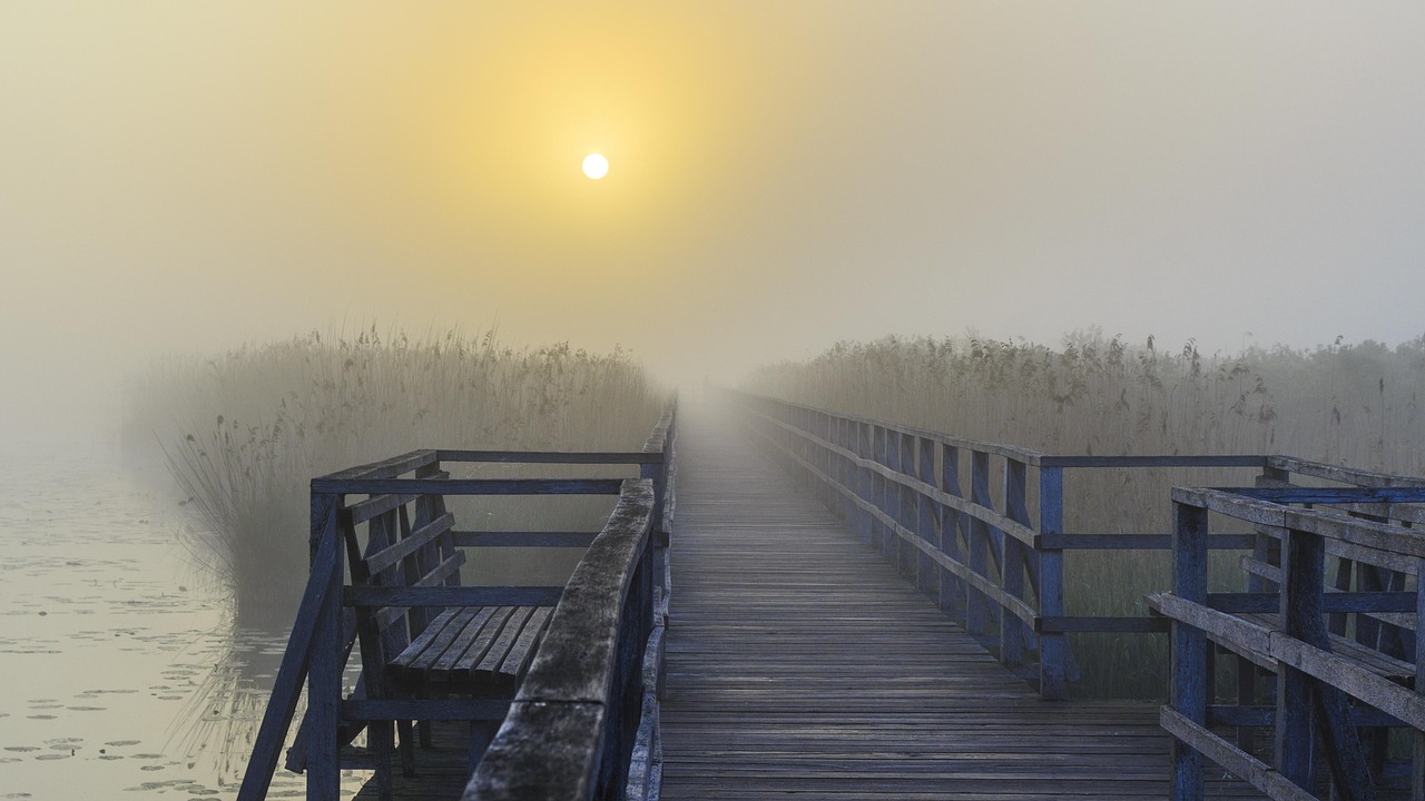 最新洪水災難，人類面臨嚴峻挑戰的自然之痛挑戰