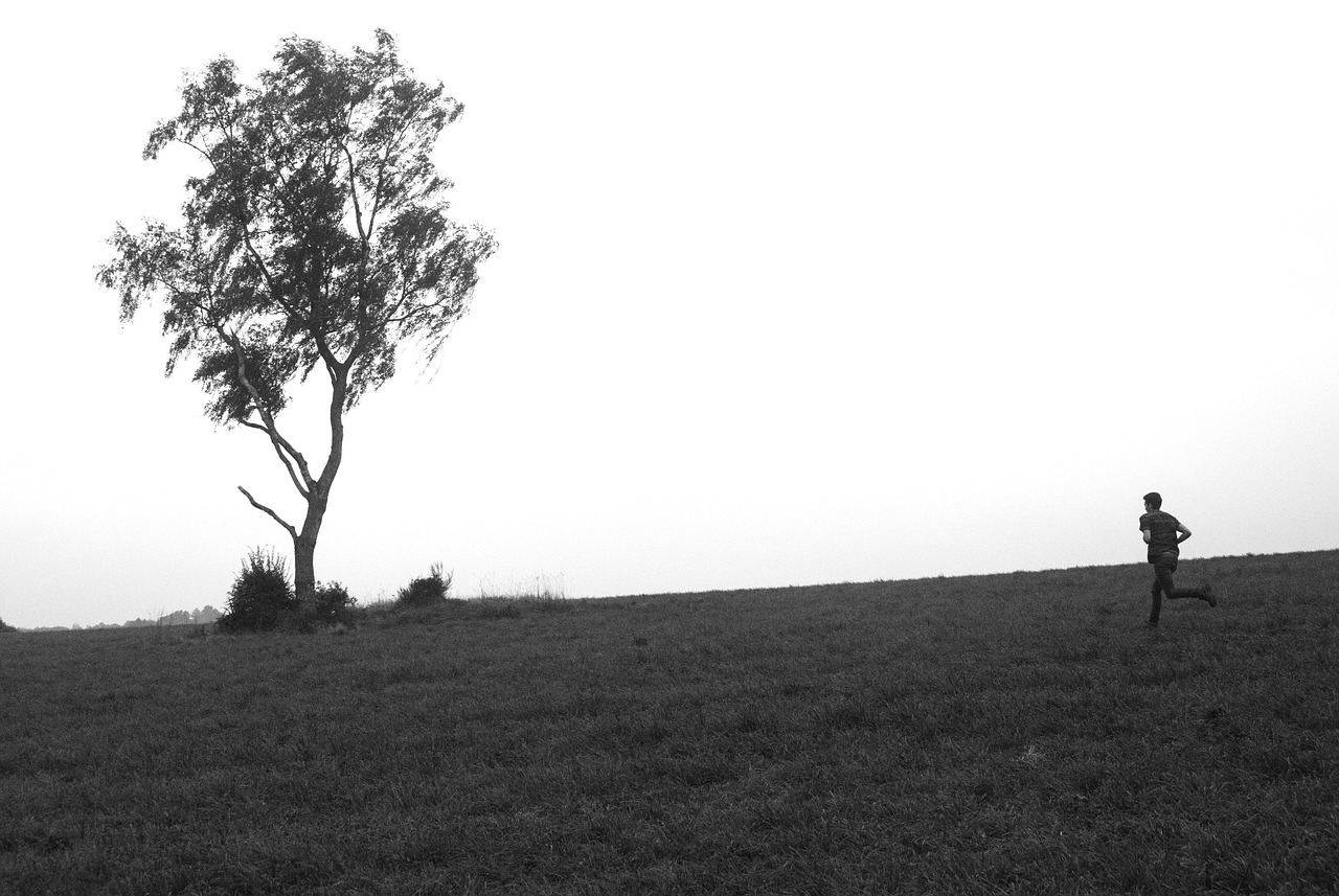 幻音新動態,引領音樂潮流的前沿探索之旅