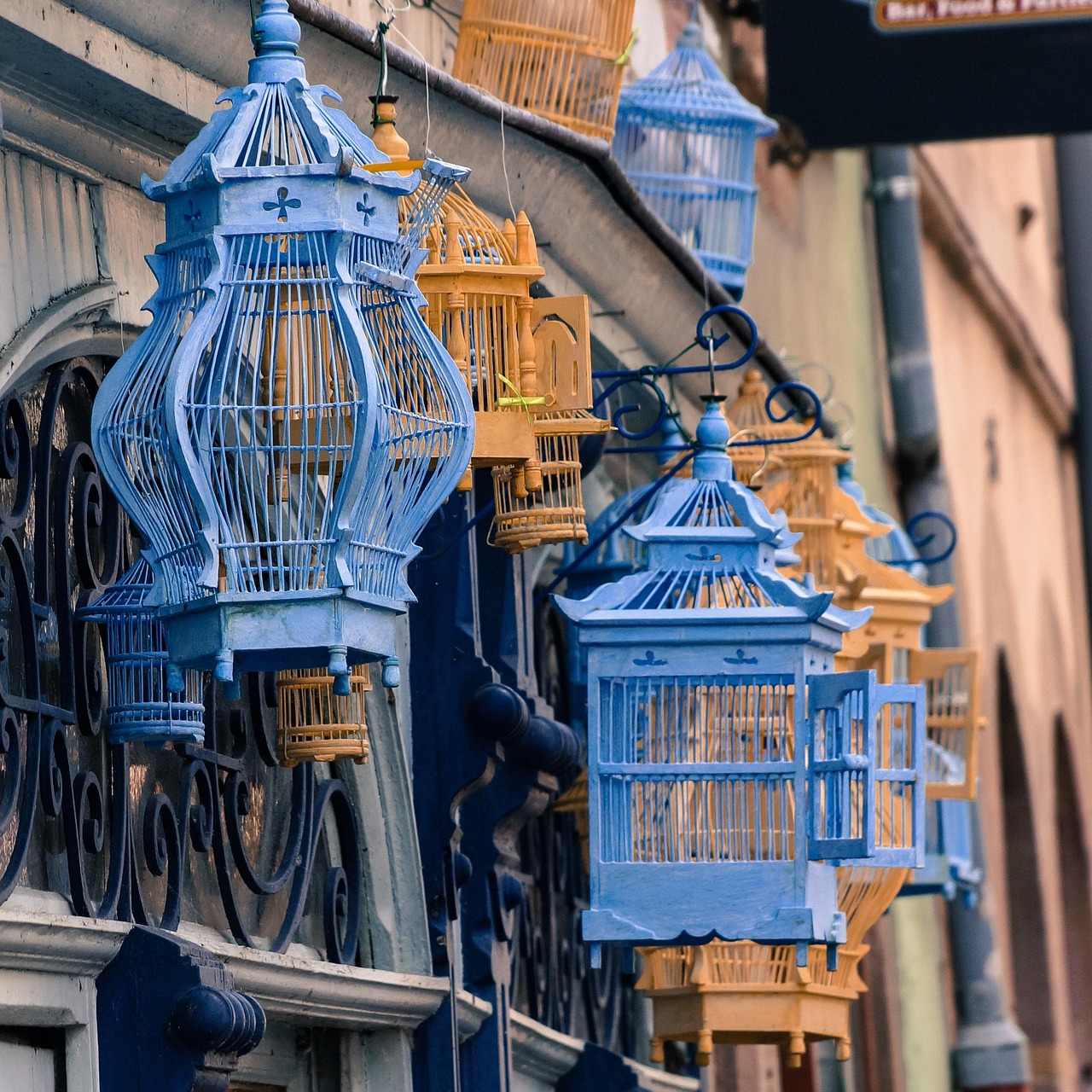 技藝與力量的較量,鋸木頭比賽現場紀實