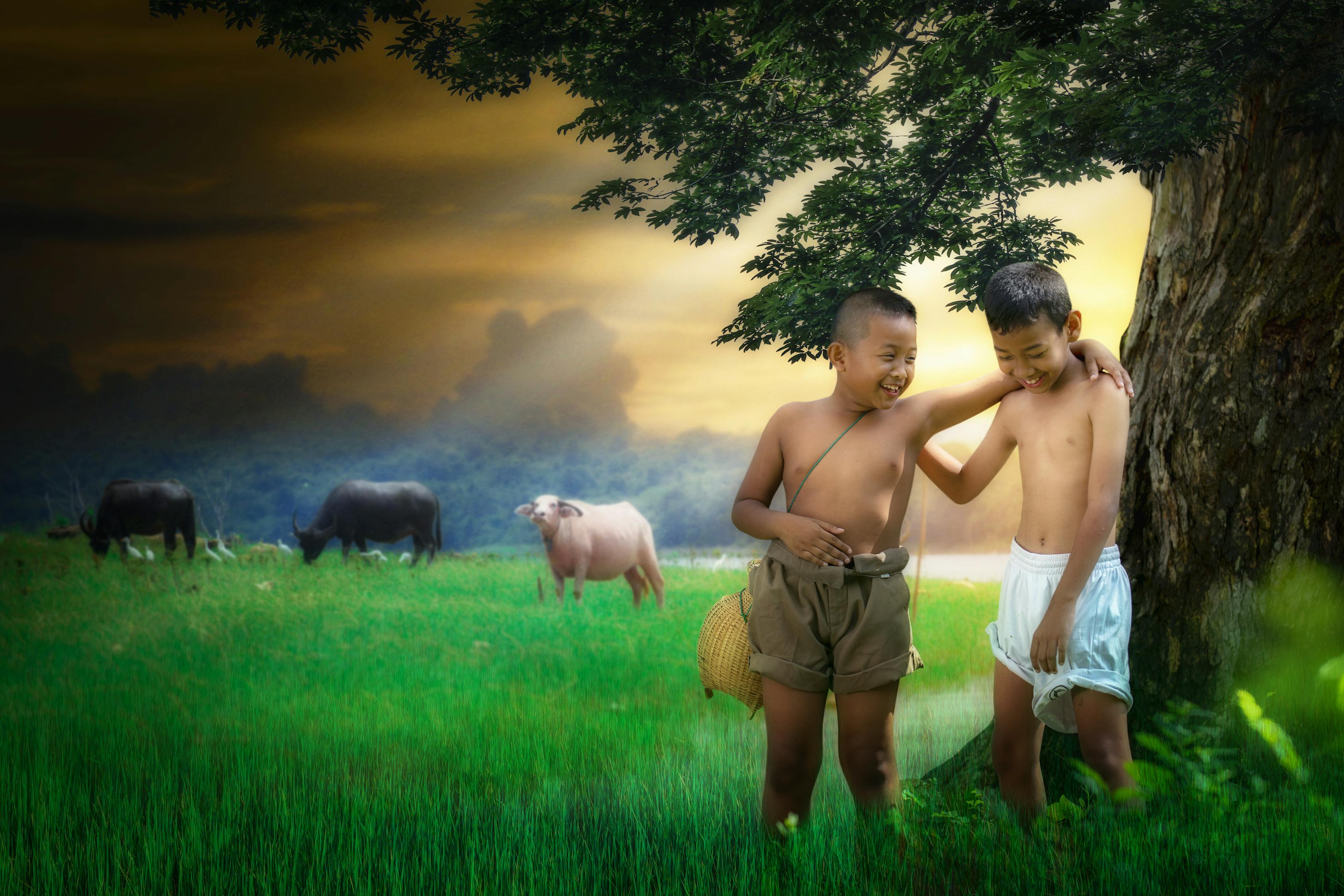 我在他鄉挺好的電視劇免費觀看,異鄉生活的真實寫照