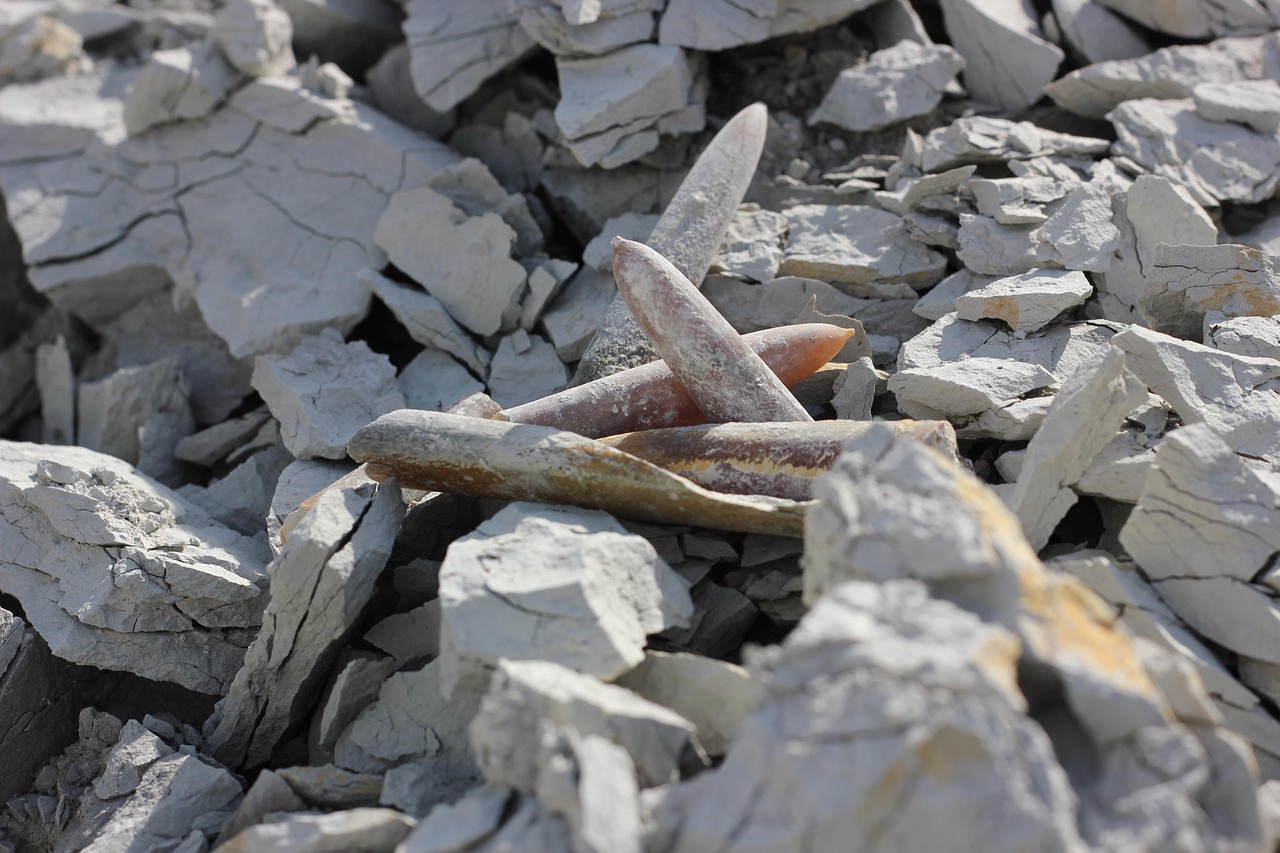 萊萬最新動(dòng)態(tài),展現(xiàn)魅力與實(shí)力的新時(shí)代典范