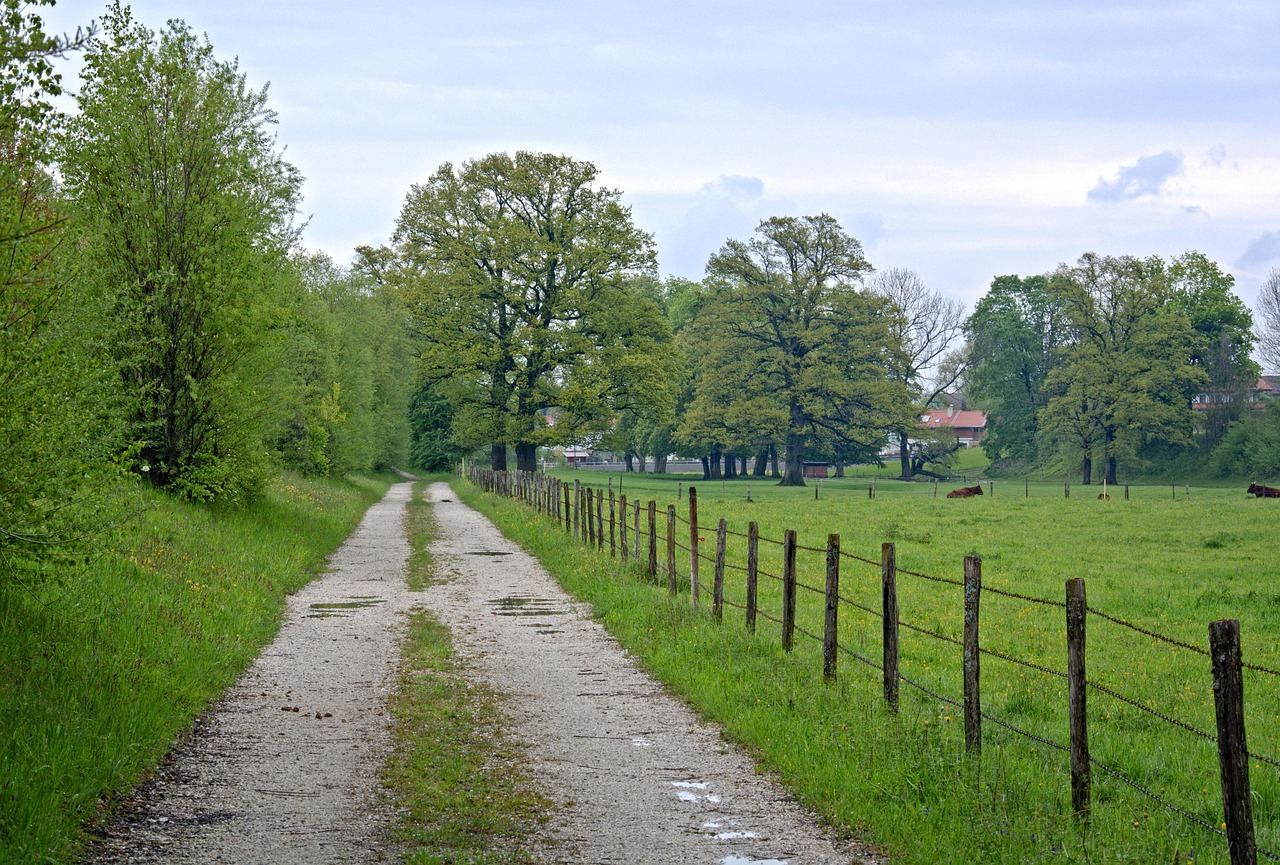 最新鄉(xiāng)村創(chuàng)業(yè)商機,挖掘鄉(xiāng)村經(jīng)濟潛力,開啟創(chuàng)業(yè)新篇章